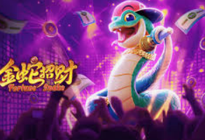 半岛星空足球app下载2024最新版