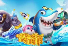 半岛星空足球app下载2024最新版