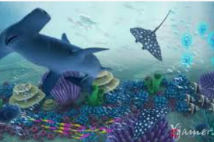 半岛星空足球app下载电脑免费版